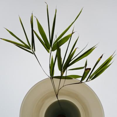 Transparences éphémères - Bambous 4 carré.jpg